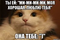 Ты ей: "Ми-ми-ми-ми, моя хорошая, люблю тебя" Она тебе: ")"