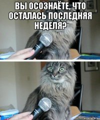 вы осознаёте, что осталась последняя неделя? 