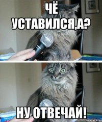 чё уставился,а? ну отвечай!