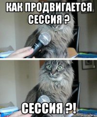 Как продвигается сессия ? Сессия ?!