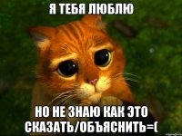 Я тебя люблю Но не знаю как это сказать/объяснить=(