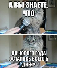 А вы знаете, что до Нового года осталось всего 5 дней?