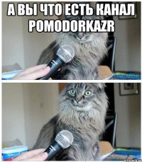 а вы что есть канал PomodorkaZR 