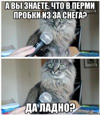 А вы знаете, что в Перми пробки из за снега? Да ладно?