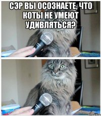 Сэр вы осознаете, что коты не умеют удивляться? 