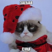 заебав сука