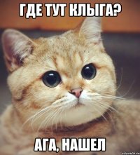 Где тут Клыга? Ага, нашел