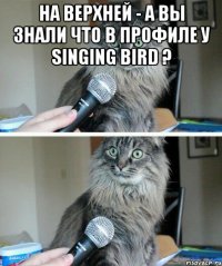 на верхней - а вы знали что в профиле у Singing bird ? 