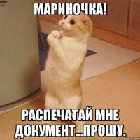 Мариночка! Распечатай мне документ...прошу.