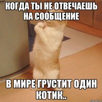 Когда ты не отвечаешь на сообщение В мире грустит один котик..