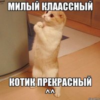 Милый клаассный котик прекрасный ^^