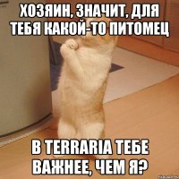 Хозяин, значит, для тебя какой-то питомец в terraria тебе важнее, чем я?