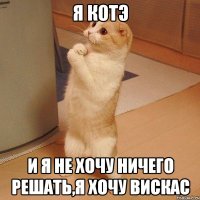 Я котэ и я не хочу ничего решать,я хочу вискас