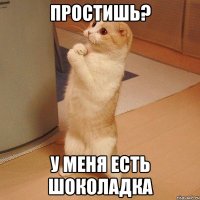 простишь? у меня есть шоколадка