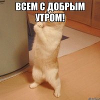 всем с добрым утром! 