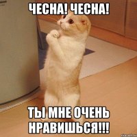 ЧЕСНА! ЧЕСНА! Ты мне очень нравишься!!!