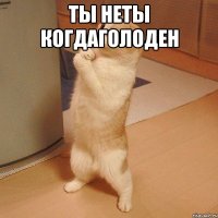 ты неты когдаголоден 