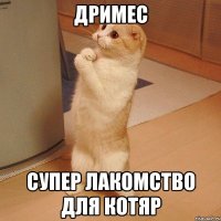 дримес супер лакомство для котяр