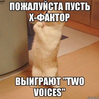 пожалуйста пусть Х-фактор выиграют "TWO VOICES"