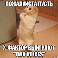 пожалуйста пусть Х-фактор выиграют "TWO VOICES"