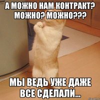 А можно нам контракт? Можно? Можно??? Мы ведь уже даже все сделали...