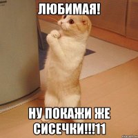 Любимая! Ну покажи же сисечки!!!11