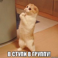  В ступи в группу!