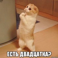  Есть двадцатка?