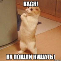 Вася! Ну пошли кушать!