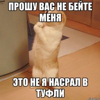 ПРОШУ ВАС НЕ БЕЙТЕ МЕНЯ ЭТО НЕ Я НАСРАЛ В ТУФЛИ