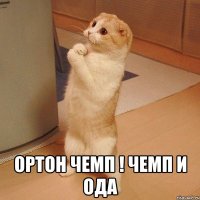  Ортон чемп ! чемп И ОДА