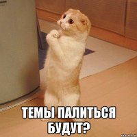  Темы палиться будут?