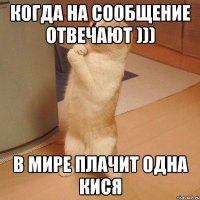 когда на сообщение отвечают ))) в мире плачит одна кися