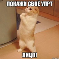 покажи своё упрт лицо!