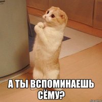  А ты вспоминаешь Сёму?