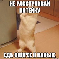 не расстраивай котейку едь скорее к наське