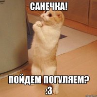 Санечка! Пойдем погуляем? :3