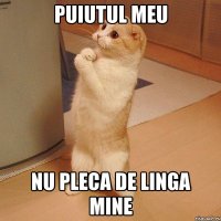 Puiutul meu nu pleca de linga mine