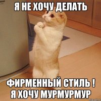 я не хочу делать фирменный стиль ! я хочу мурмурмур