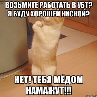 Возьмите работать в УБТ? Я буду хорошей киской? НЕТ! ТЕБЯ МЁДОМ НАМАЖУТ!!!