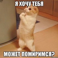 я хочу тебя может помиримся?