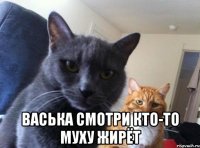  Васька смотри кто-то муху жирёт