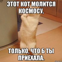 этот кот молится космосу, только, что б ты приехала.