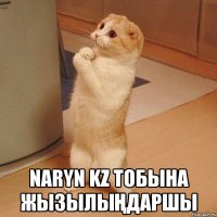  Naryn kz тобына жызылыңдаршы