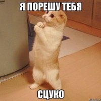 Я ПОРЕШУ ТЕБЯ СЦУКО