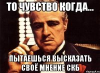 То чувство когда... пытаешься высказать своё мнение СКБ