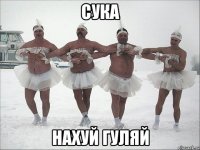 сука нахуй гуляй