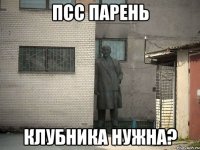 ПСС ПАРЕНЬ КЛУБНИКА НУЖНА?