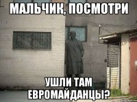 Мальчик, посмотри ушли там Евромайданцы?