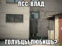 Псс, Влад Голубцы любишь?